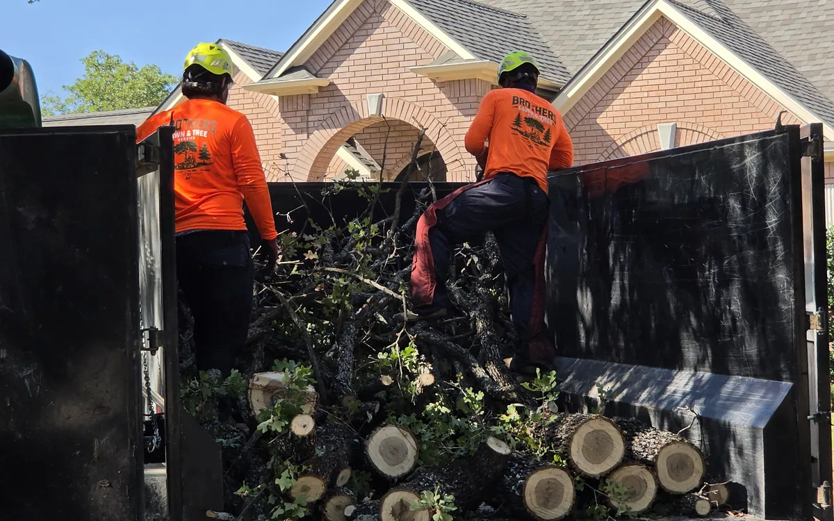 Two crew members loading cut log rounds and branches into a dump trailer.